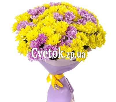 Хризантемы кустовые