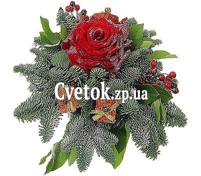 Композиция из еловых веток и розы