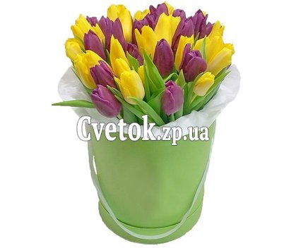 Box of yellow and purple tulips
