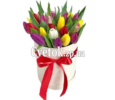 Коробка разноцветных тюльпанов