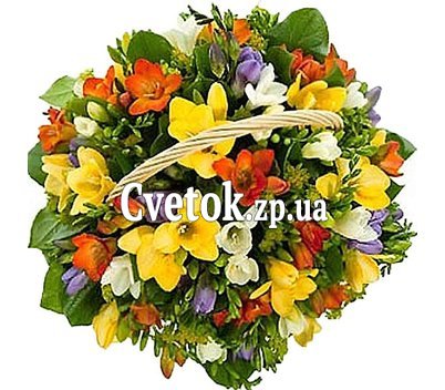 Корзина фрезий
