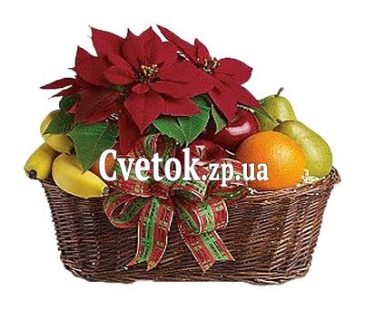 Кошик фруктів і Різдвяна зірка