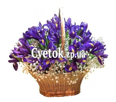 Корзина ирисов с гипсофилой