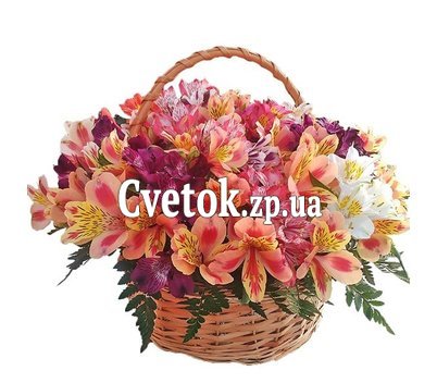 Корзина из 25 альстромерий