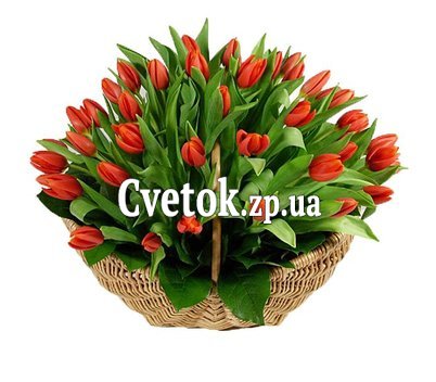 Корзинка с тюльпанами