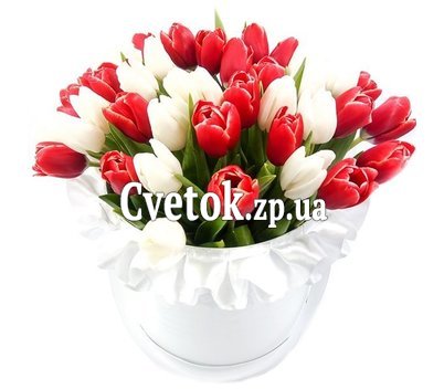 Красные и белые тюльпаны в коробке