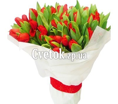 Красные тюльпаны букет
