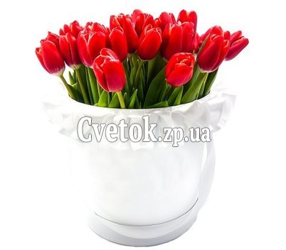 Red tulips in a hat box