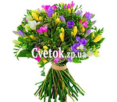 Купить букет из фрезий