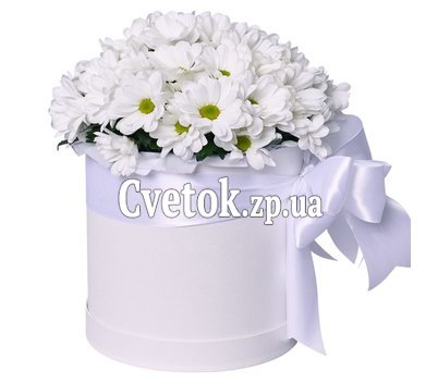 Цветы в круглой коробочке