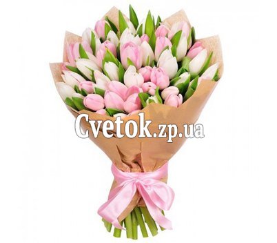 Нежный букет из 51 белого и розового тюльпана