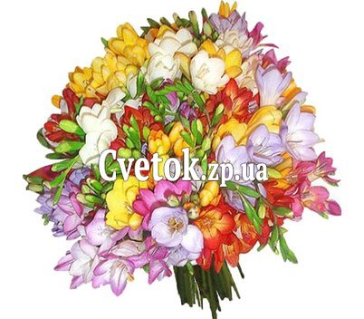Огромный букет фрезий