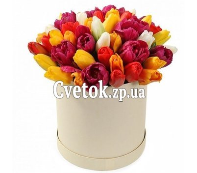 Multicolored tulips in a box