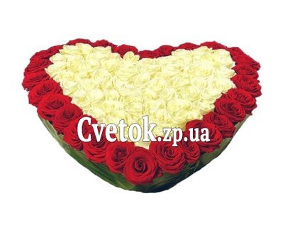 Roses for Valentine`s Day