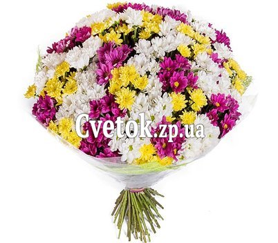 Шикарный букет из хризантем