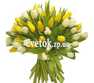 Тюльпаны большой букет