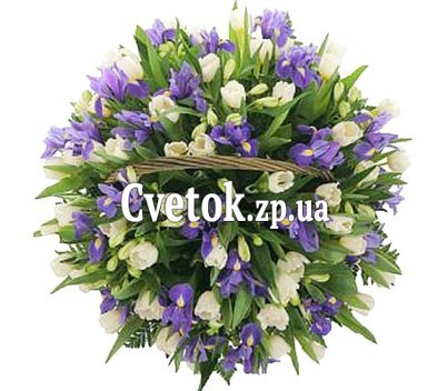 Тюльпаны и ирисы в корзине
