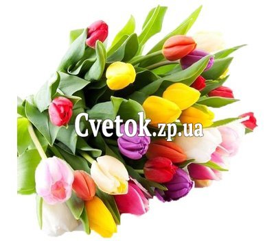 Тюльпаны в букете