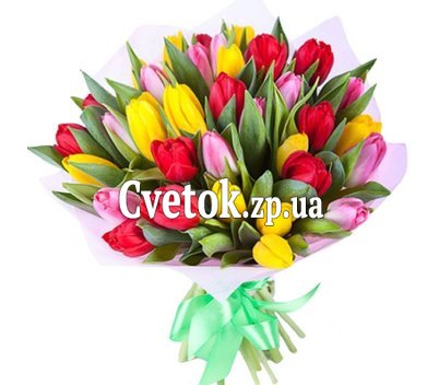 Яркие тюльпаны