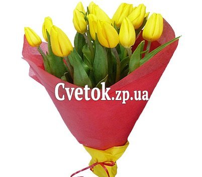 Желтые тюльпаны