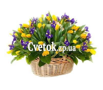 Желтые тюльпаны и ирисы в корзине